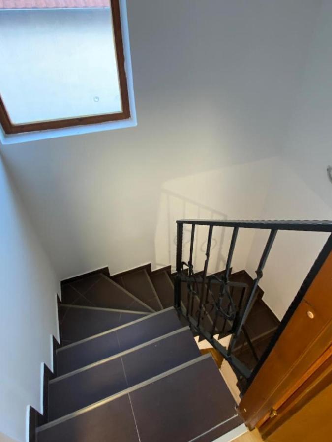 House Reko Villa Белград Екстериор снимка